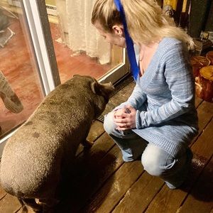 👗 blue knit sweater  dress